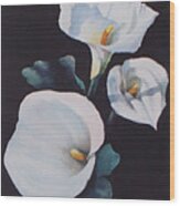 The Calla Lilies Are In Bloom Again Wood Print