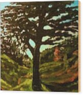 The Cedar Tree Against The Blue Wood Print