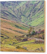 The Colorful Hills Of Connemara Wood Print