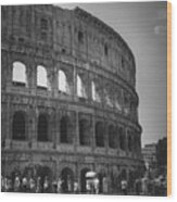 The Colosseum, Rome Italy Wood Print