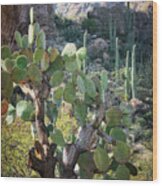 The Desert Southwest Cacti Wood Print
