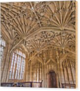 The Divinity School At The Bodleian Library Wood Print