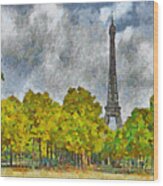 The Eiffel Tower Viewed From Place Jacques Rueff Wood Print