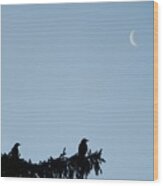 The Evergreen Twins And The Crescent Moon Wood Print