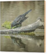 The Fishing Raven Wood Print