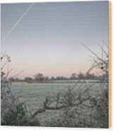 The Frosty Morning You Have Been Waiting For Wood Print