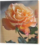 The Glorious Rose Wood Print