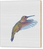 The Grace Of A Hummingbird Wood Print