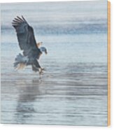 The Great American Bald Eagle 2016-15 Wood Print