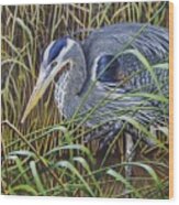 The Great Blue Heron Wood Print
