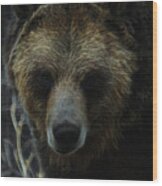 The Grizzly Digital Art Wood Print