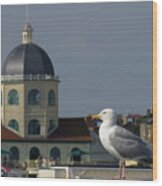 The Gull And The Dome Wood Print