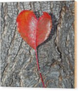 The Heart Of A Tree Wood Print