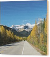 The Icefields Parkway Wood Print