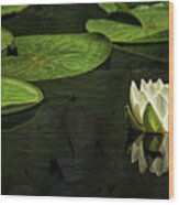 The Illuminated Lotus Wood Print