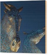 The Kelpies Lit In Blue Wood Print