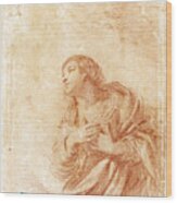 The Kneeling Virgin In An Annunciation Wood Print