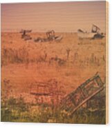 The Landscape Of Dungeness Beach, England 2 Wood Print