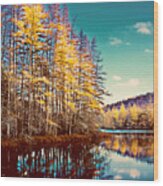 The Last Of The Tamarack Color Wood Print