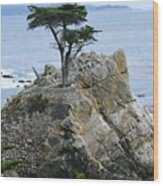 The Lone Cypress Wood Print