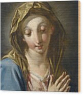 The Madonna Annunciate Wood Print