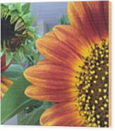 The Magic Sunflower Pollen Wood Print