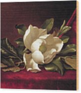 The Magnolia Blossom Wood Print