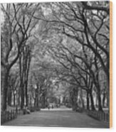 The Mall In Central Park And Poets Walk Wood Print