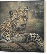 The Night Of The Leopard Wood Print