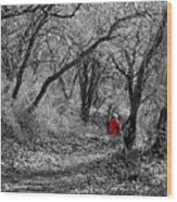 The Oak Forest Trail Wood Print