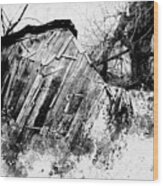 The Old Shed Wood Print