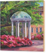 The Old Well Unc Wood Print