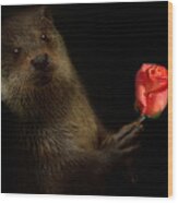 The Otter Wood Print
