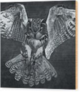 The Owl 2 Wood Print