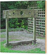 The Pillory In Shanklin Old Village Wood Print