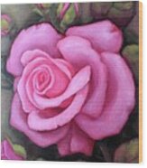 Pink Dreamy Rose Wood Print