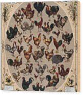 The Poultry Of The World 1868 Wood Print