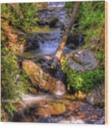 The Quinault Stream Wood Print