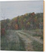 The Road To Autumn Wood Print