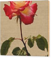 The Rose Wood Print