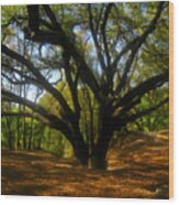 The Sacred Oak Wood Print