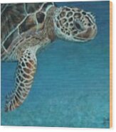 The Giant Sea Turtle Wood Print