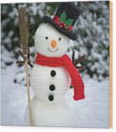 The Snowman On Snowy Ground Wood Print