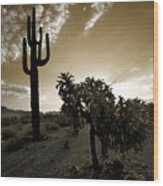 The Sonoran In Sepia Wood Print