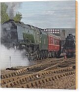 The Steam Railway Wood Print