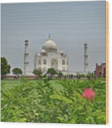 The Taj Mahal Wood Print