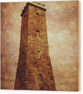 The Timeball Tower Wood Print