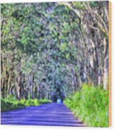 The Tree Tunnel On Maluhia Road Kauai Wood Print