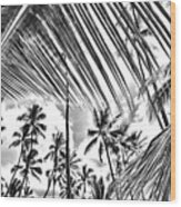 The Tropics Wood Print