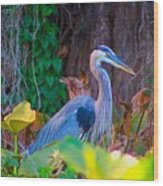 Majestic Great Blue Heron Wood Print
